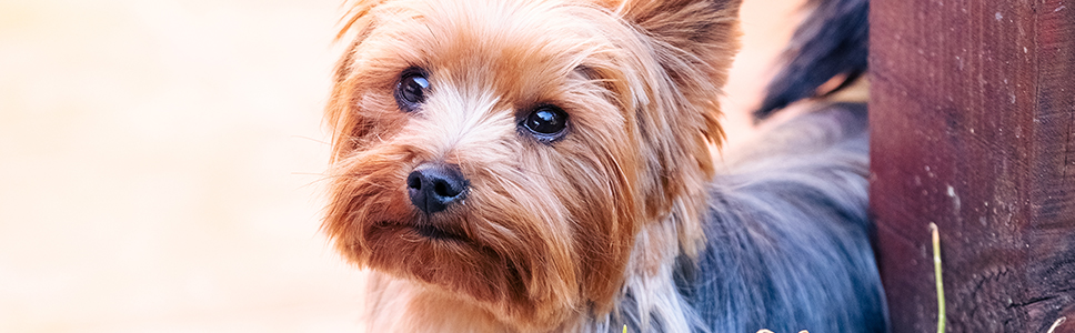 Zu Ihrer Information: